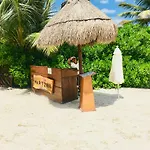 Aquamarina Economy Studio